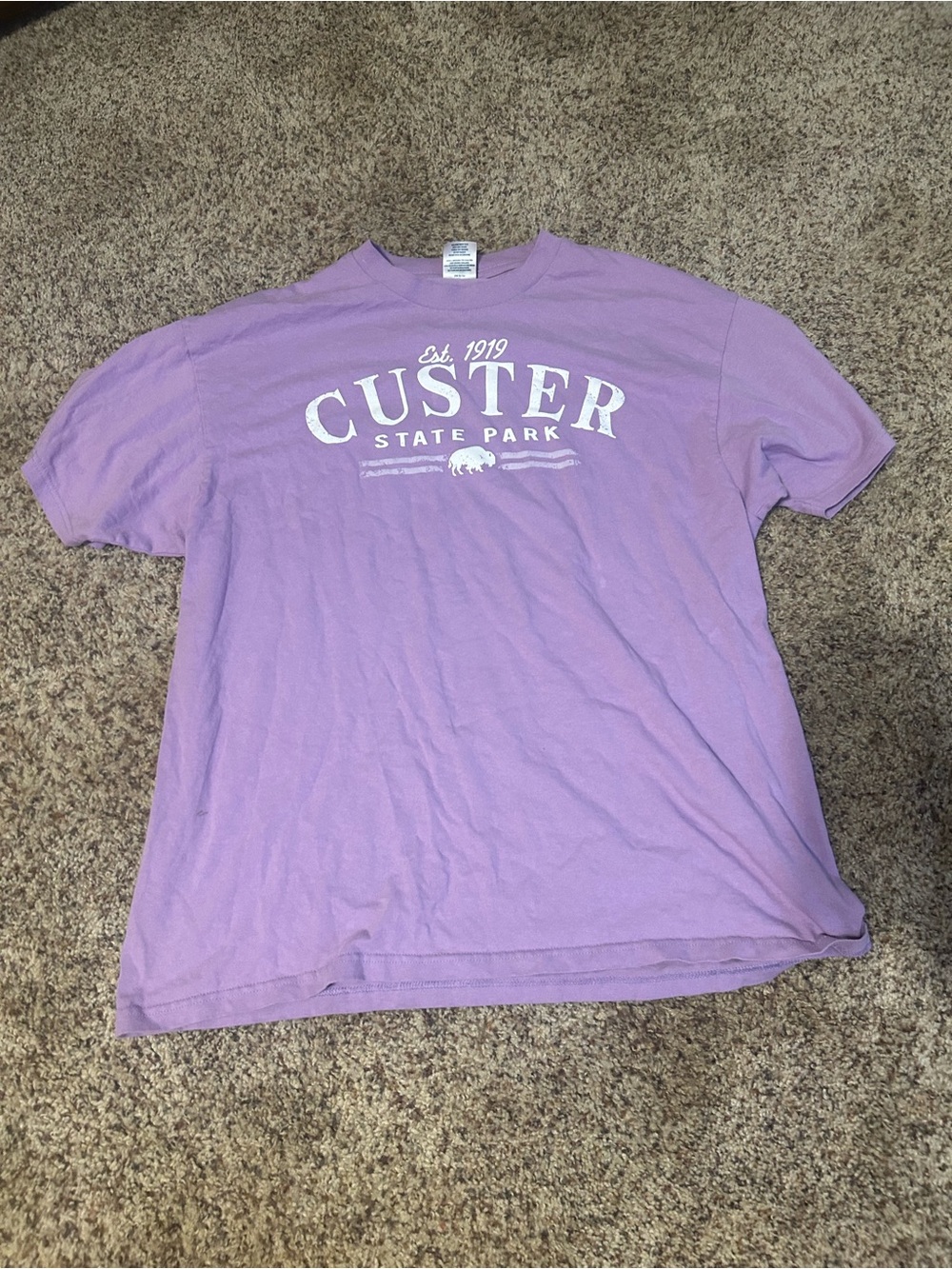 Custer state park T shirt women purple size xl prairie mountain